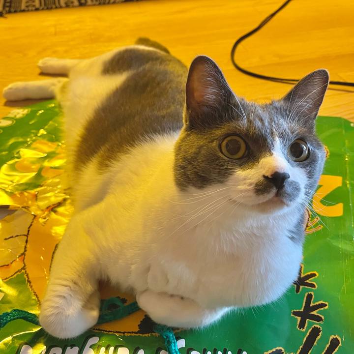 E4b62048 8667 4bd4 89ba ac913b83b110 1659053141547