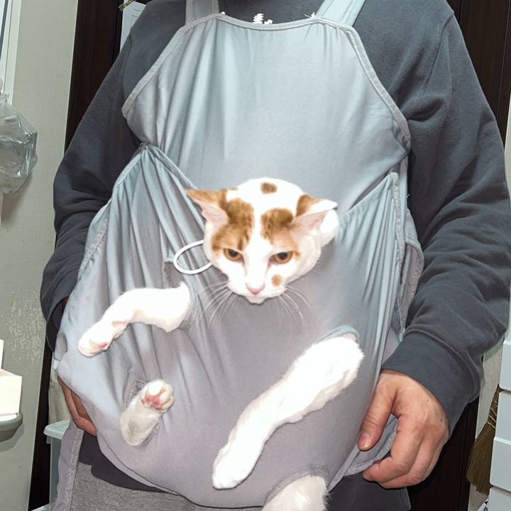 E4b63556 ca98 49a3 90fa b9a47be07f14 1766773992692