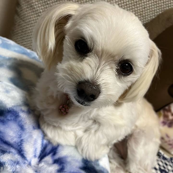 E4b666b6 0d5b 4560 bb8a 77a000004467 1671968411483