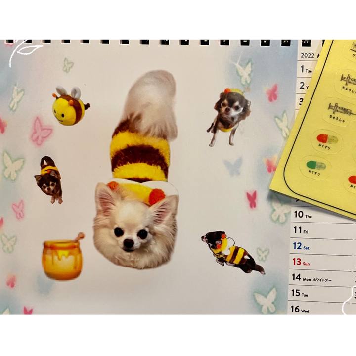 E4b6883a 2230 4803 b69d 44f2511893af 1646142958699