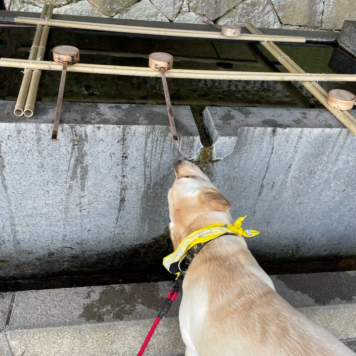 E4b6bf24 fc7f 4399 b1d3 e70f12742afa 1648616770465