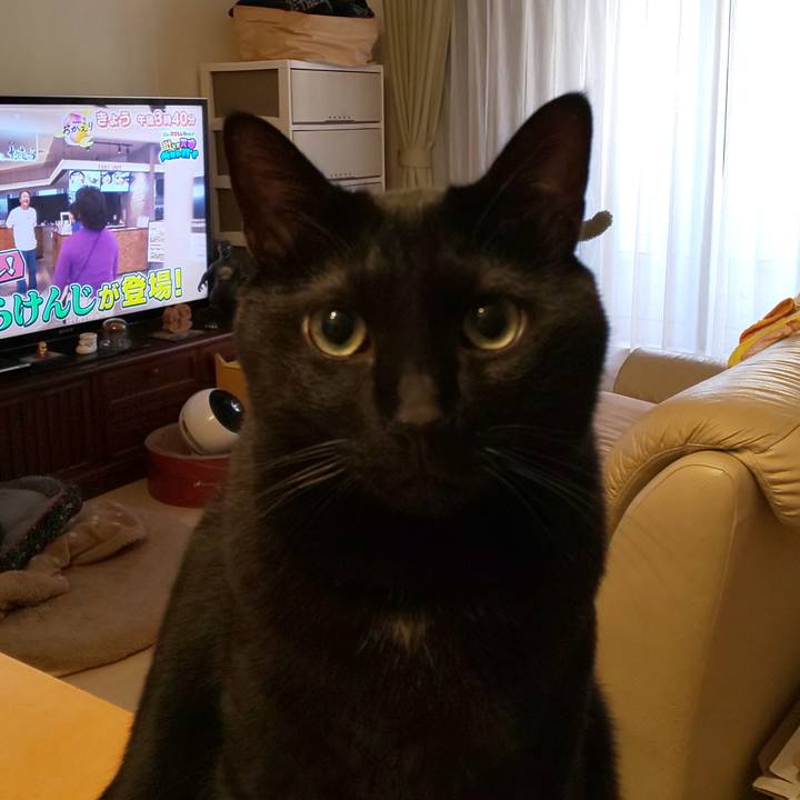 E4b6c1ee 8a0b 4fca a61d 7d40adde27e9 1764282882635