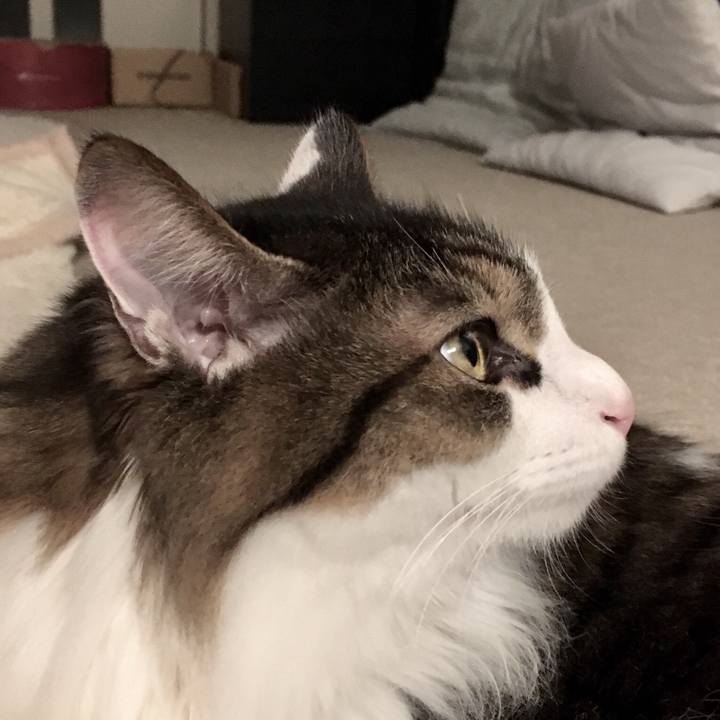 E4b6cd69 9416 4ee1 afdd f0034ba4b405 1542711972455