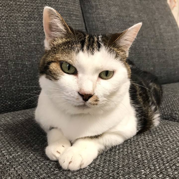 E4b6d1c2 ebf6 4d72 9be7 f0e23d64023b 1566444307537