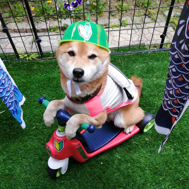 E4b6e8d6 cb1a 4371 b076 096e282276ce 1619337082025