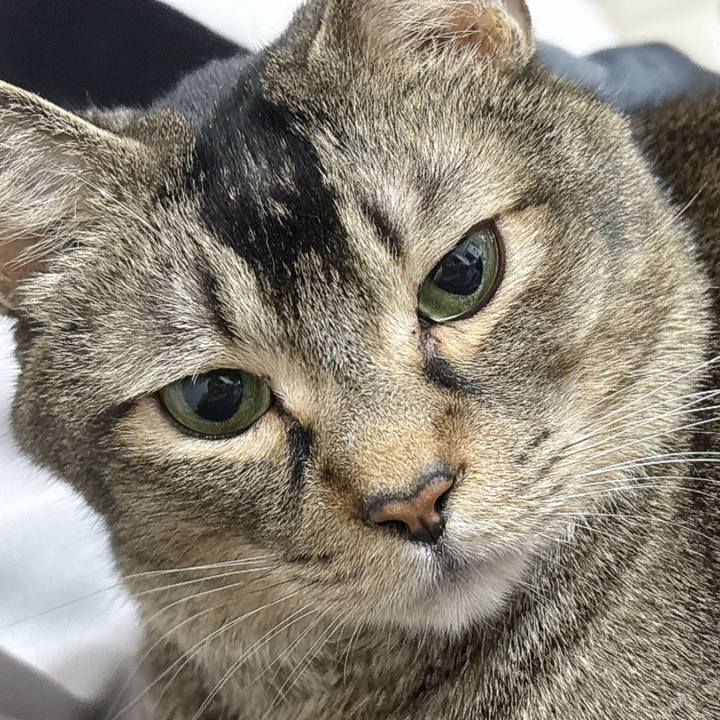 E4b6f74c 402f 4ac5 ad7f 177c7c4eca09 1774433513242