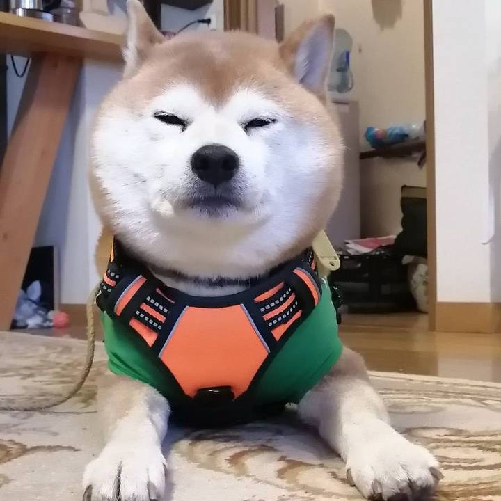 E4b725bd baea 4833 8cca ff87bf7df983 1584845762892