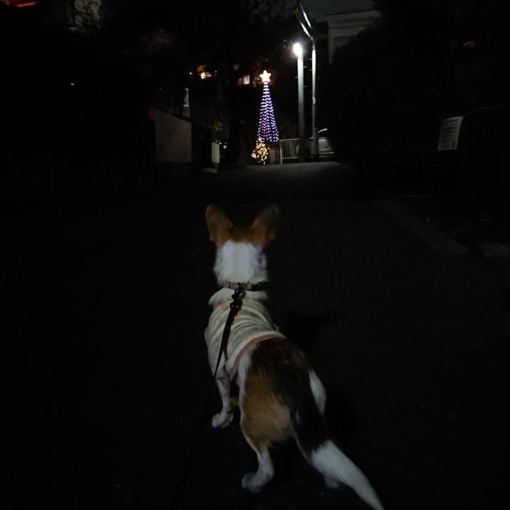 E4b79dc9 50e8 4047 bb0b 687112b86677 1543313119972