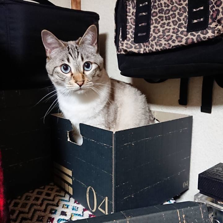 E4b7a4af 9f1c 4ac0 a12c 9a571061ee50 1559303679654