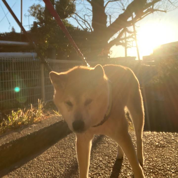 E4b7d01f ceda 42a5 94a8 d3415a5ebcfe 1609476711984