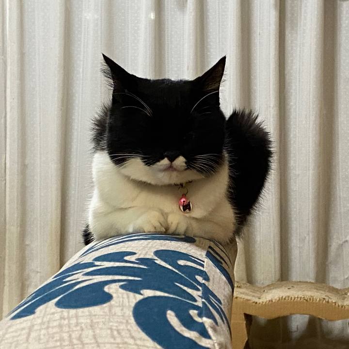 E4b7e8e6 9b2b 49bf 95cb 9f3449e5d3d9 1694701262307