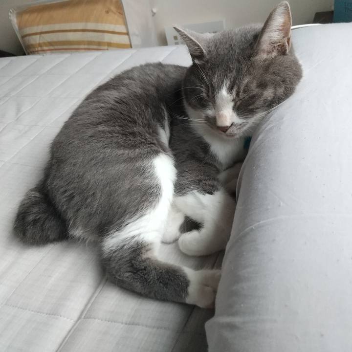 E4b841bd 97d5 4cff 9f81 768578c2366a 1628838400975