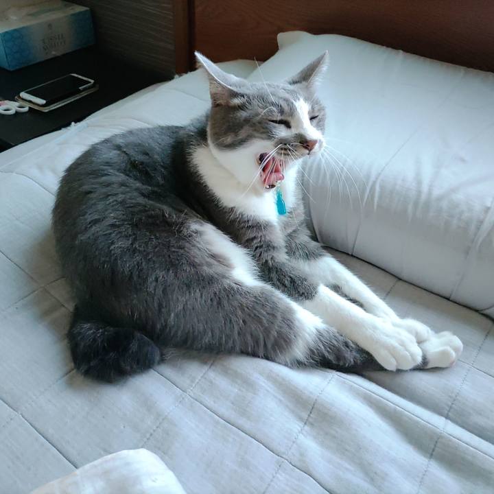 E4b8476a 26c8 4e4e acff d54d4edb7b70 1662969788369