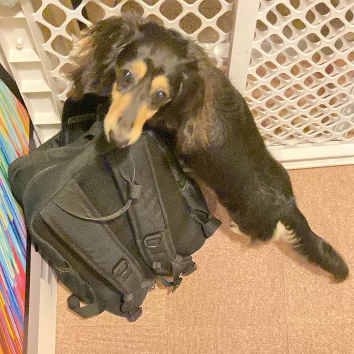 E4b859b3 0a11 41a1 9f30 863512bd6bfc 1718842679701