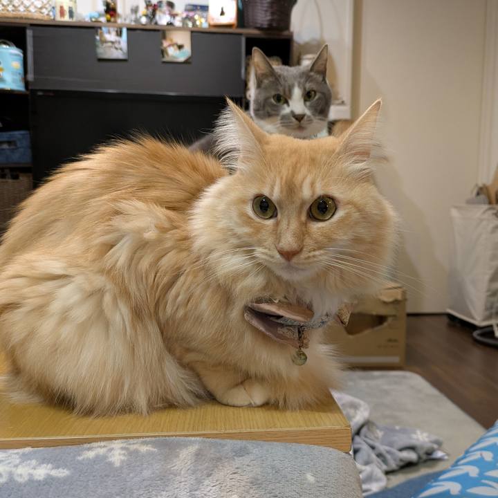 E4b85b30 1869 4f05 8090 a9f214a3a701 1734606230093