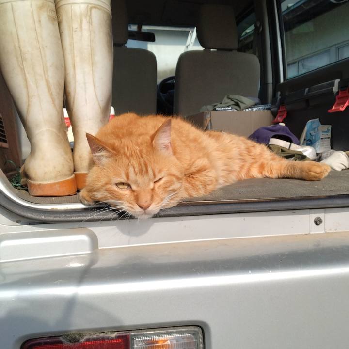 E4b8710f d606 49af 9e7b 536c30e3829f 1749420764839