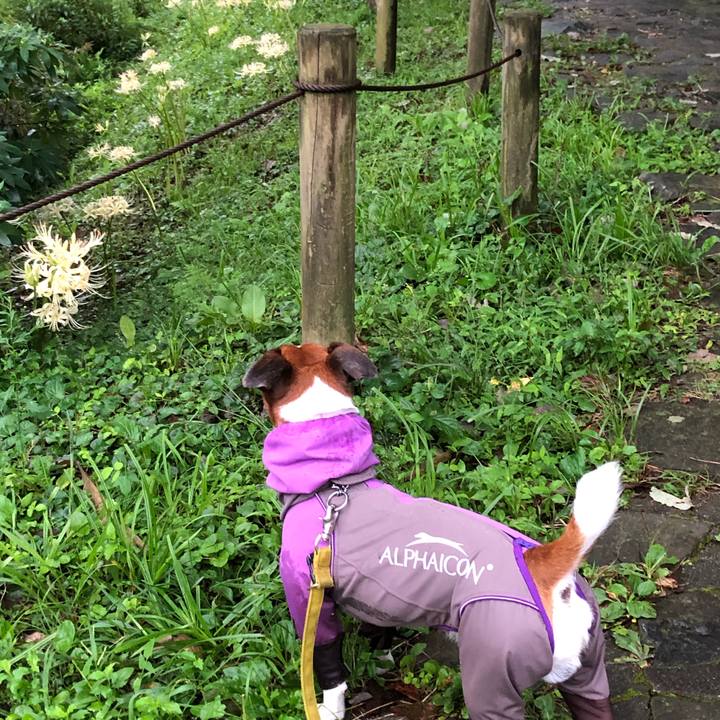 E4b8be6c a254 4242 a1de fe0979c0c07a 1600817465061