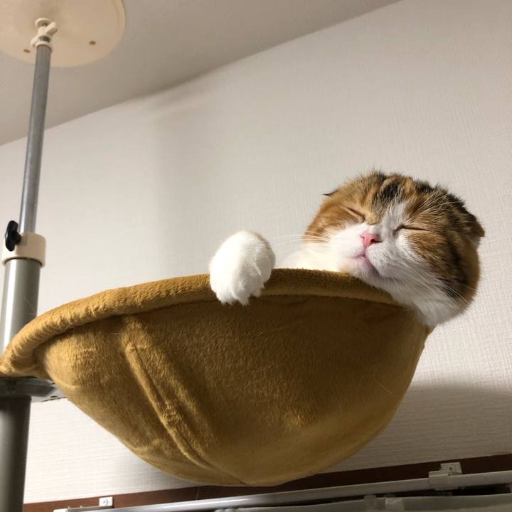 E4b8ccf5 0567 44b8 9d6e 82d1434574ee 1595423895711