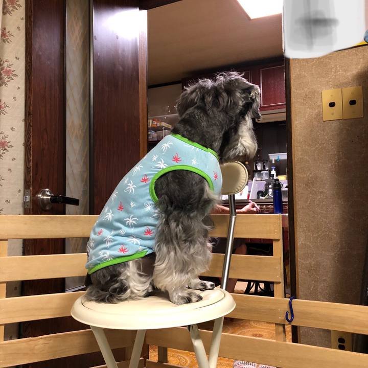 E4b8d256 2f84 4c87 9a4e 5066014743d0 1628942541575