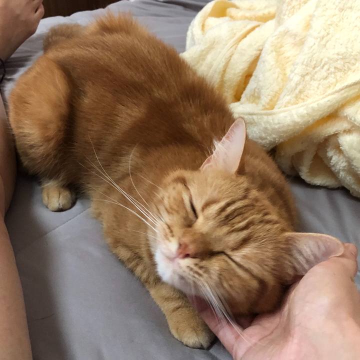 E4b91f8b faf3 48e9 8887 e334be40c36d 1600820644503