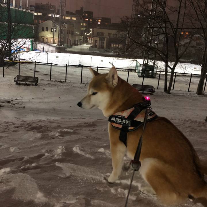 E4b921f7 d279 40ba aefc da9ec2dfbc7c 1578305893264