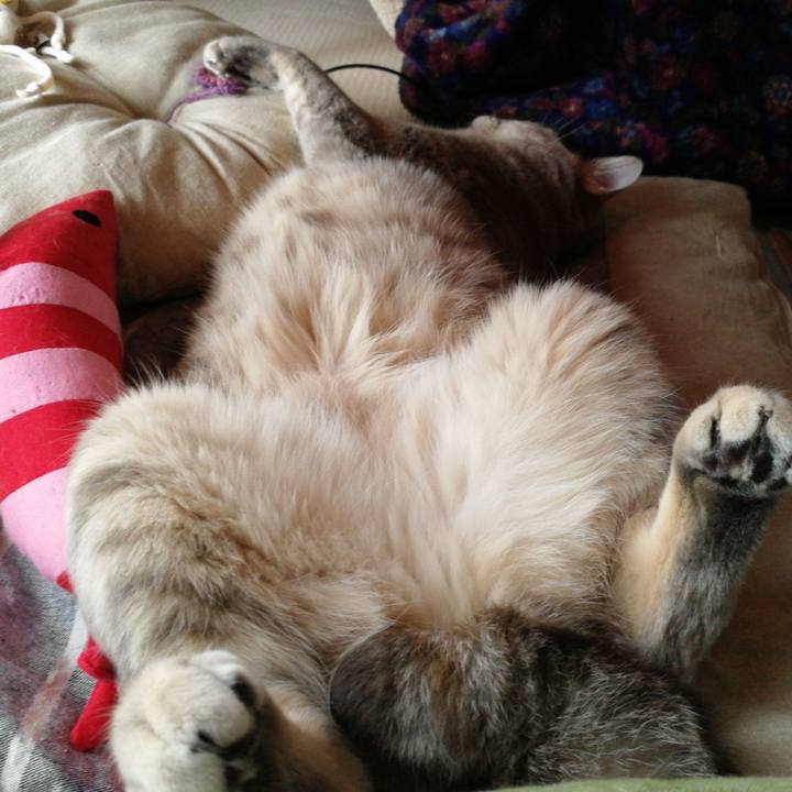 E4b92674 00db 46ce 8c8e 19aa522f513c 1515549209637