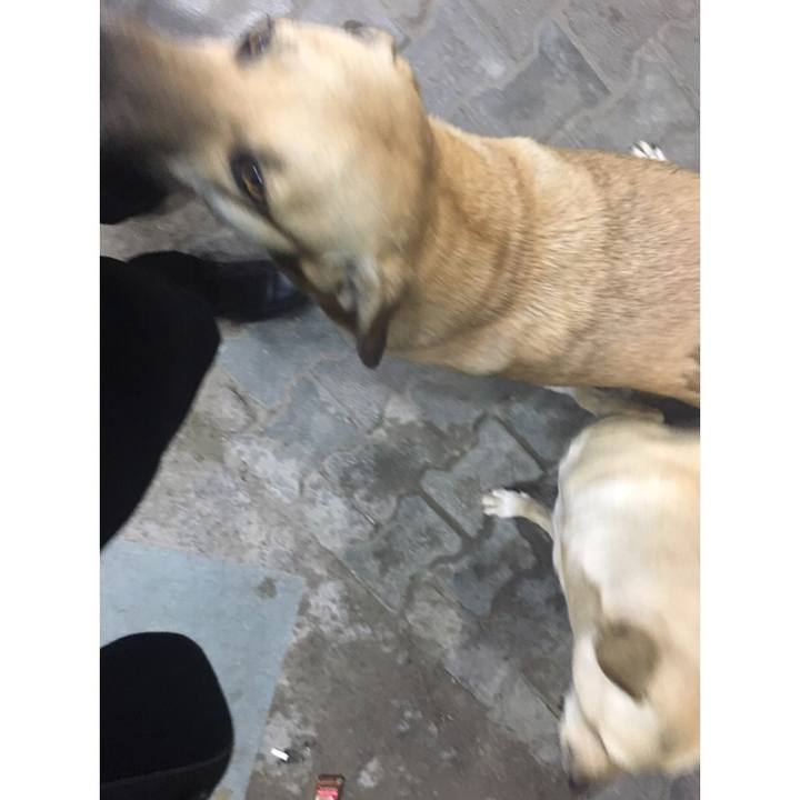 E4b96663 7227 4c0a 8e8d 2a693ffb40c4 1550879661011