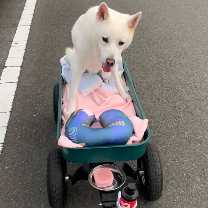 E4b9aa6e 9590 47a3 b19e c7d14a20cd73 1570749058186