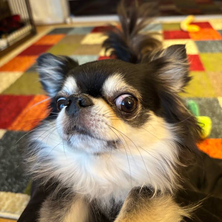 E4b9affc 829d 44ad bf29 ed77125c2e10 1765732726093