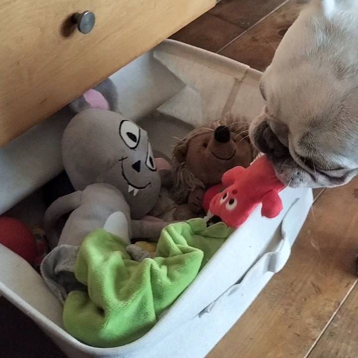 E4ba1284 1877 4722 a272 998983177894 1687128668707