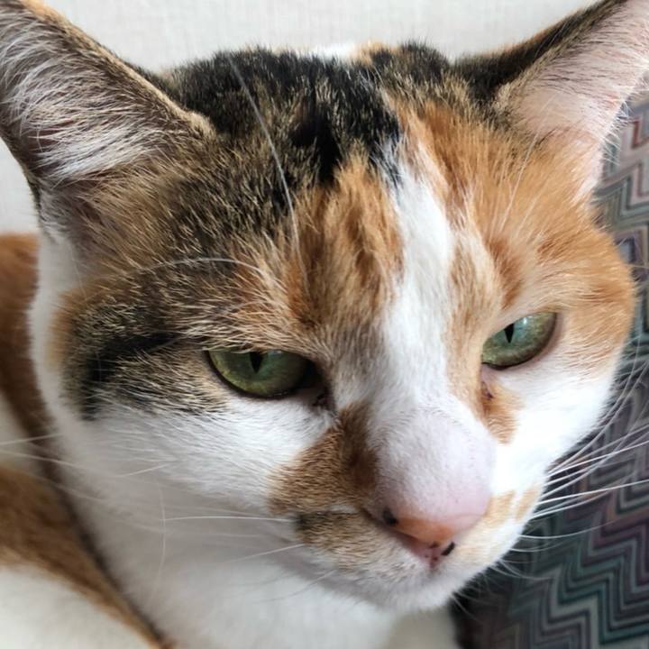 E4ba2976 1fa7 488a 9489 d8076ccaf7ed 1711652803778