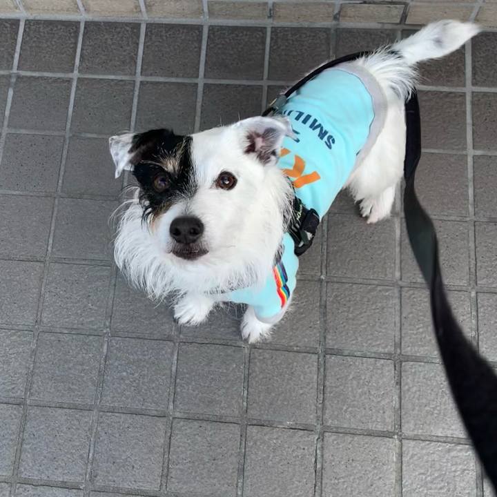 E4ba2e3b 44b3 44a1 8a36 60ff61f26693 1707809535297