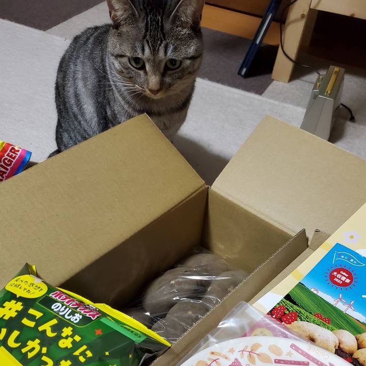 E4baa90c 1ff2 48a8 9982 61662a9e4cf7 1699687567405