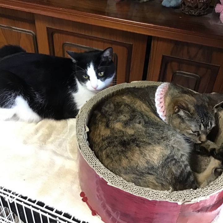 E4babddd 0d6d 4e23 8797 1252a95d95e1 1750505286698