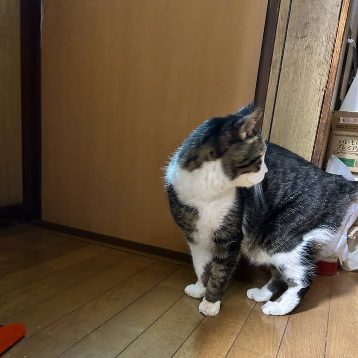 E4bb3aed 3436 409a bfd0 c2339719570f 1765985331961