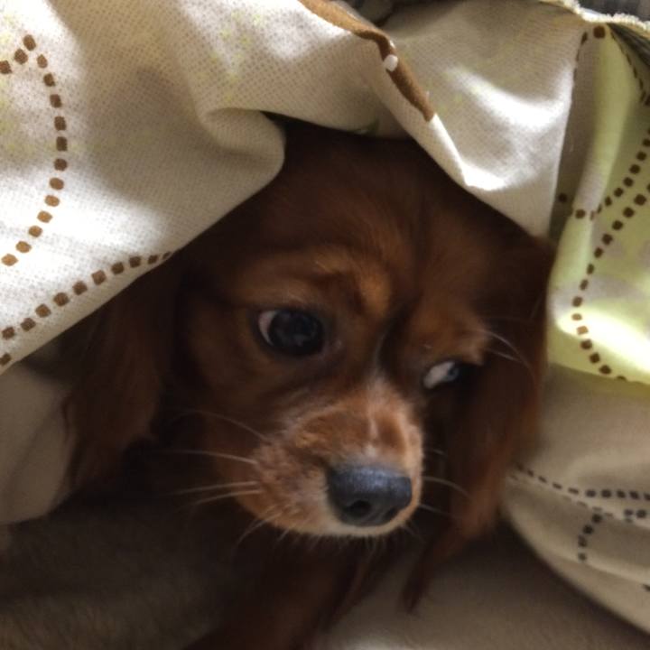 E4bb3bbb 580f 4ca0 b378 76e5b1020a01 1518040534577