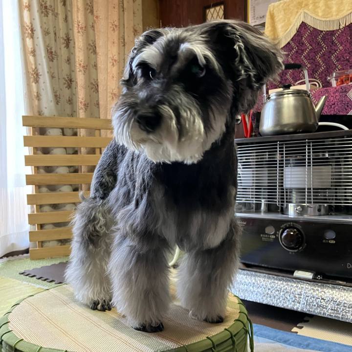 E4bb3df3 be28 41d3 bf46 78913586da75 1715414235094