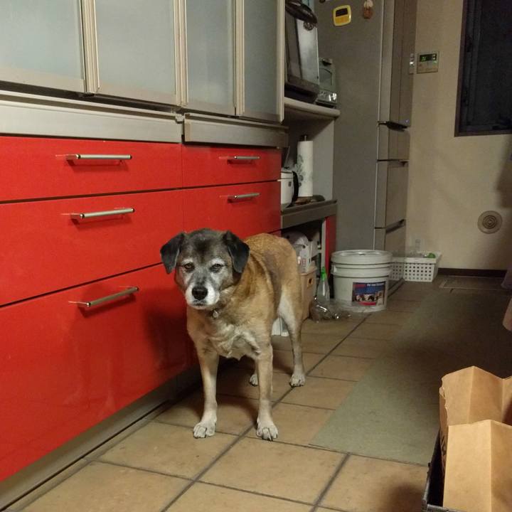 E4bb467b fe84 4de8 935c 5d7bab8ac589 1551224077337