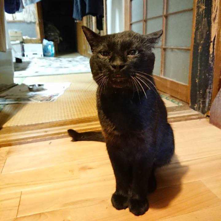 E4bb5462 5b4d 4836 9199 d15995bac81b 1627389834445