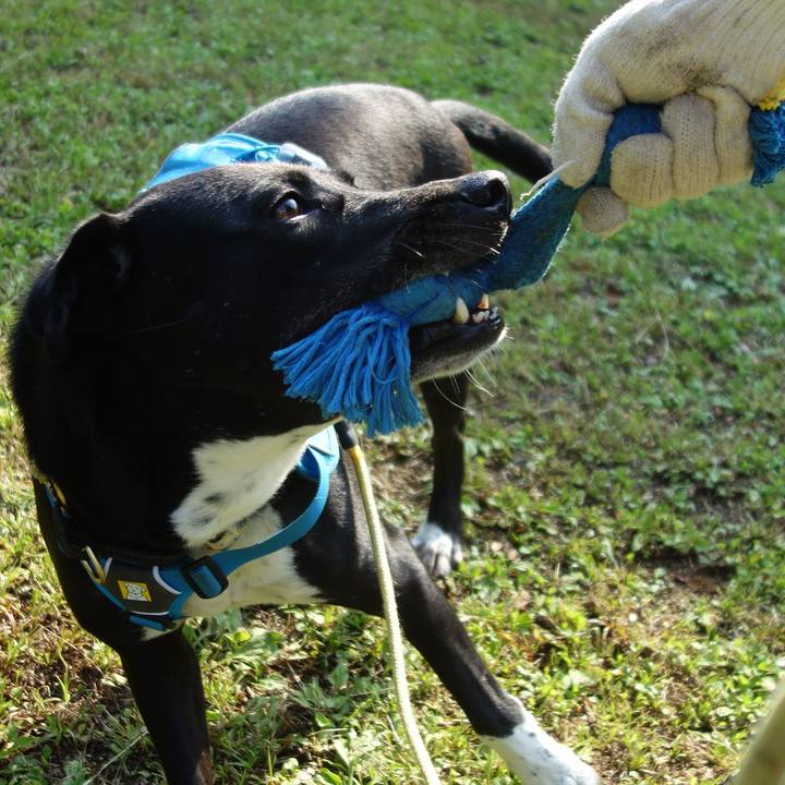 E4bb552c b82a 42e0 9e35 99025cbd68bf 1623280760637