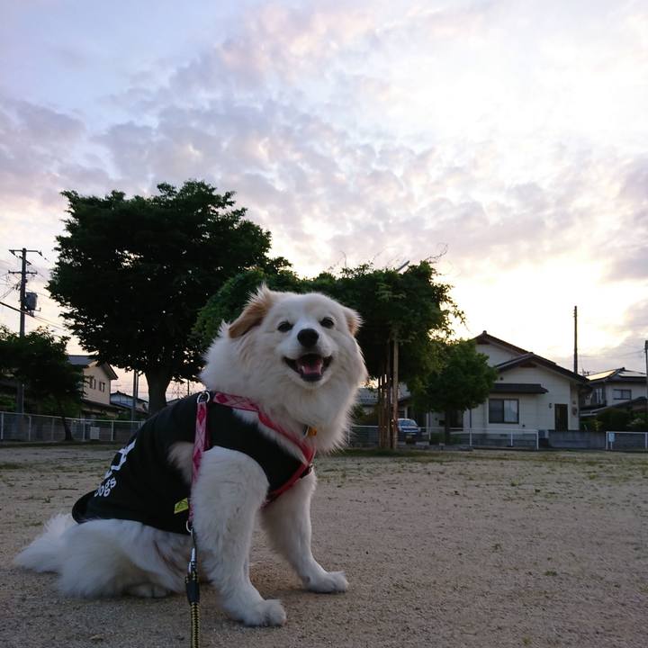 E4bb7eba 7dd4 4dcf 84fa 1d437d7406a1 1527500190690