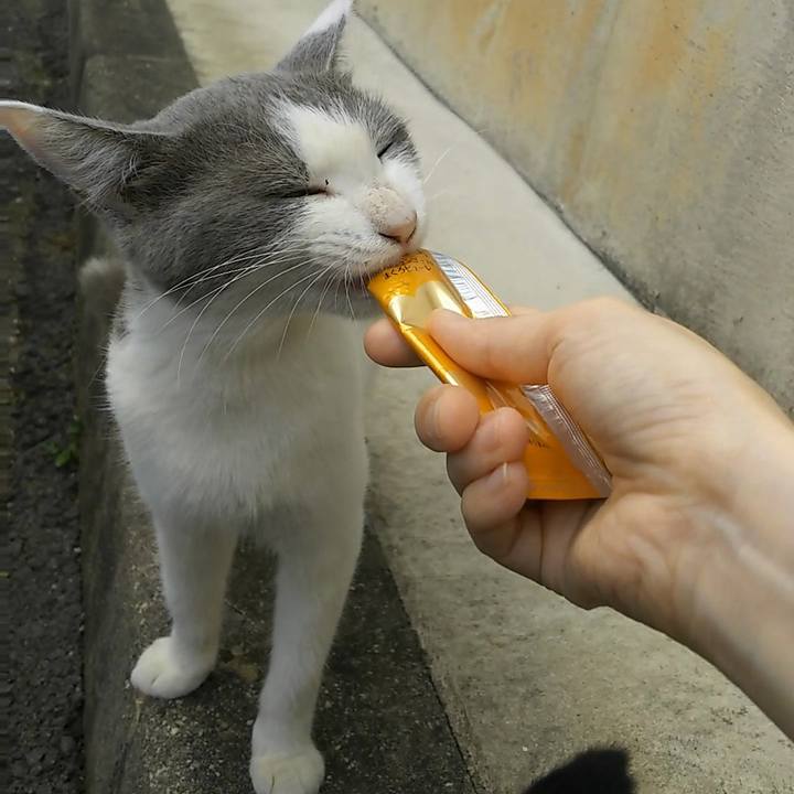 E4bba65a c019 43b4 8294 e14d1d2aaa1e 1537761416608