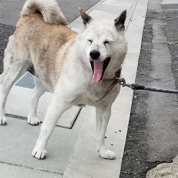 E4bba924 46b2 4dd6 9a55 97fdf9f0ceef 1652390471058