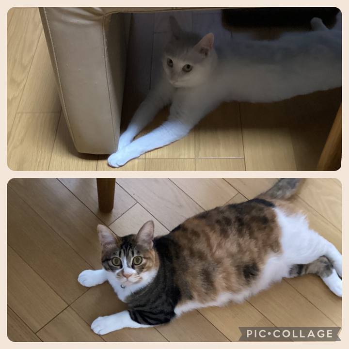 E4bbd694 8fab 4b5f a5c3 397d0afa98dd 1679963732934