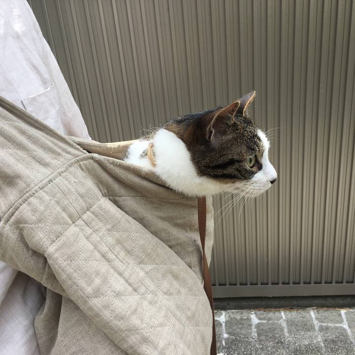 E4bc3608 5731 4028 b34c fa4393730de1 1527339987628