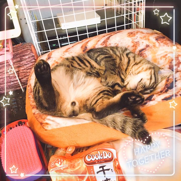 E4bcbdc3 1767 4112 80d3 51cf00939709 1541299816010