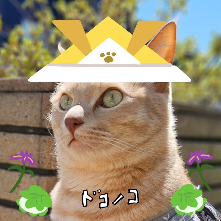 E4bcc11e aad1 4386 945c efab7990bd4e 1714902895608