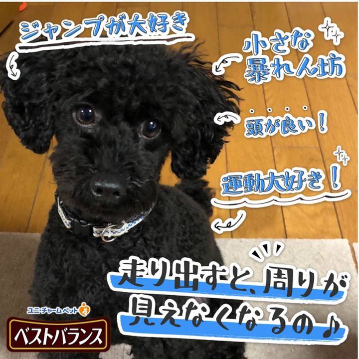 E4bcefd3 33e8 4926 9858 471d5353f7af 1541921954633