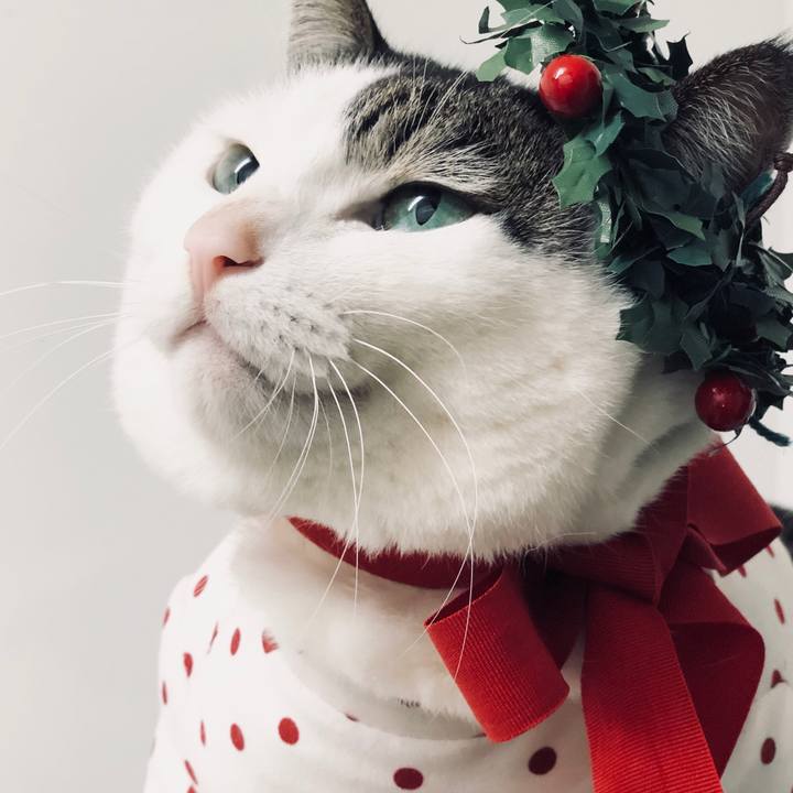 E4bcf51f 84c8 416b 9756 afd39e711409 1545671349859