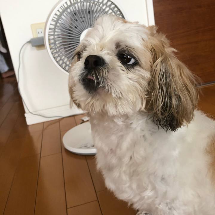 E4bd35ee bbae 48be a780 d362a8cb8ce8 1626385753806